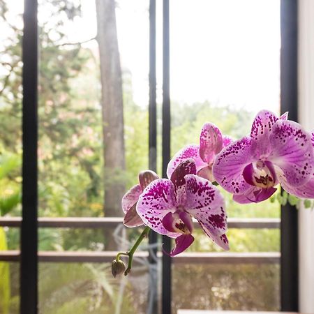 Foresta Hotel Medellín Eksteriør billede